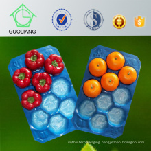 China Supplier SGS for Fruit Disposable Trays Made of 100% Virgin Polypropylene Food Safety Standard